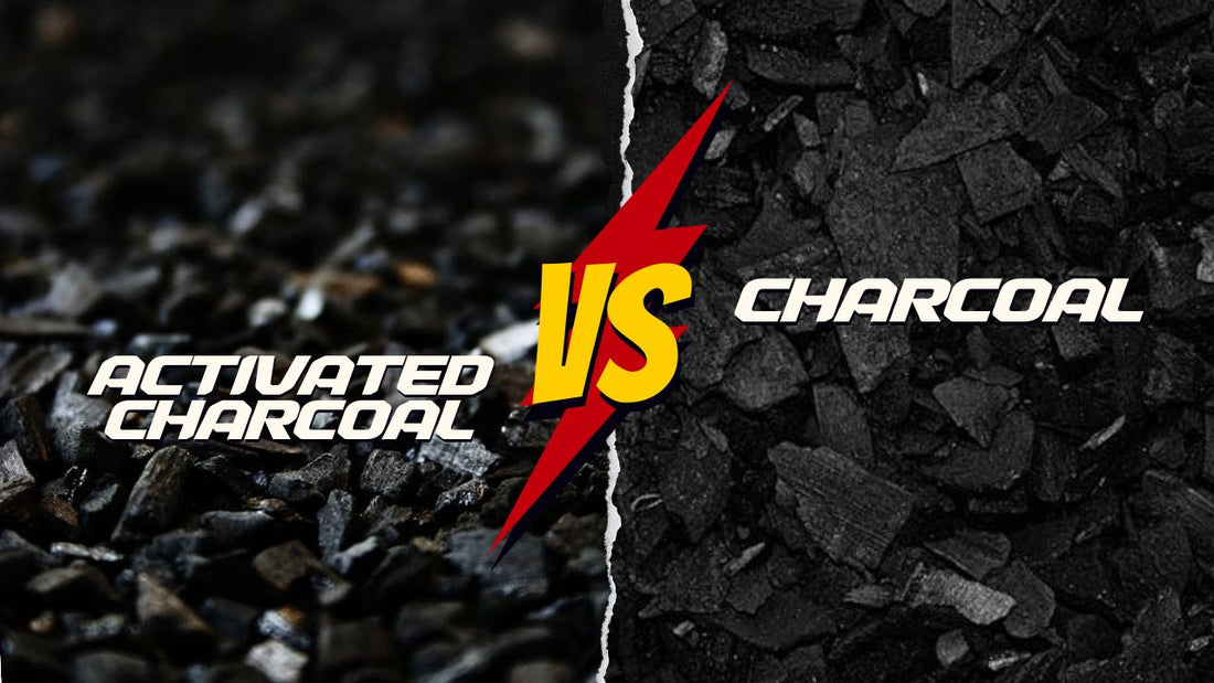 Activated charcoal vs charcoal