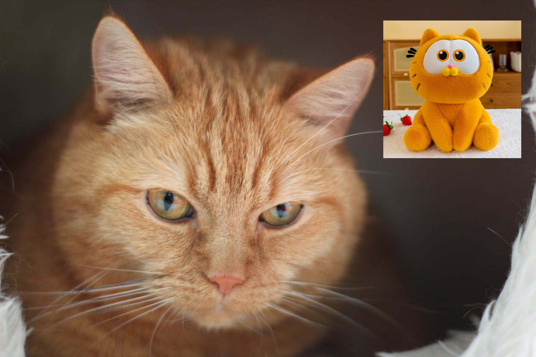 What type of cat is garfield, What Breed of Cats Looks Like Garfield? How Much Does a Garfield Cat Cost?