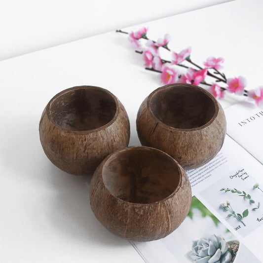 Eco-Friendly Coconut Shell Bowl Smoothie Candle Holder Candy Bowls New 3pcs Lot