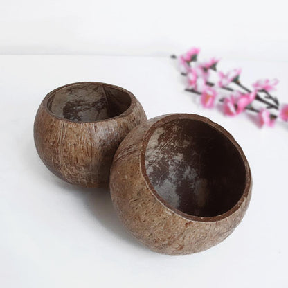  Coconut Shell Bowl