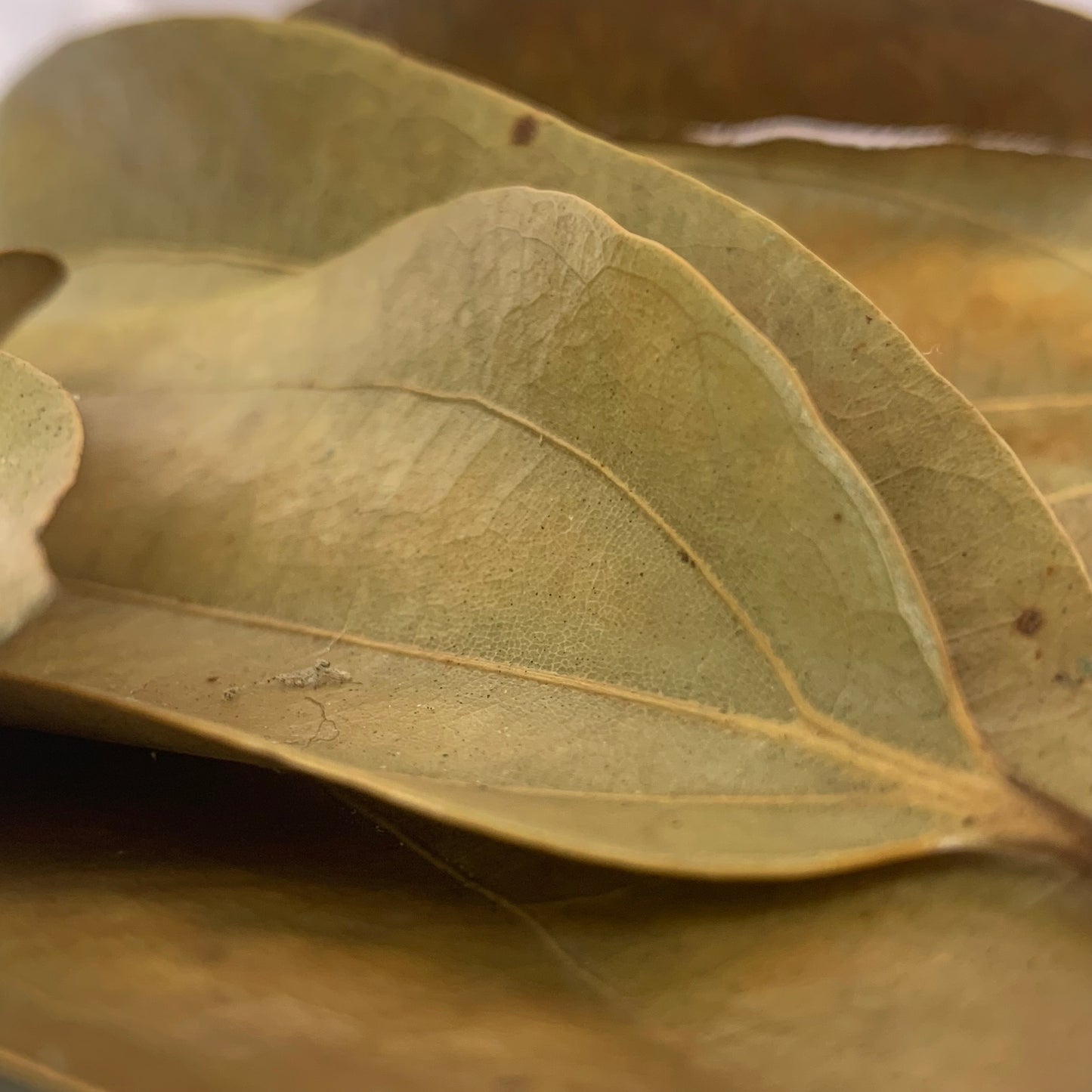 Sun Dried Cinnamon Leaves 100% Pure and Organic