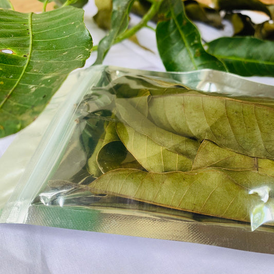 +100 Dried Mango Leaves ( Mangifera ) 100% pure Natural Organic Leaf