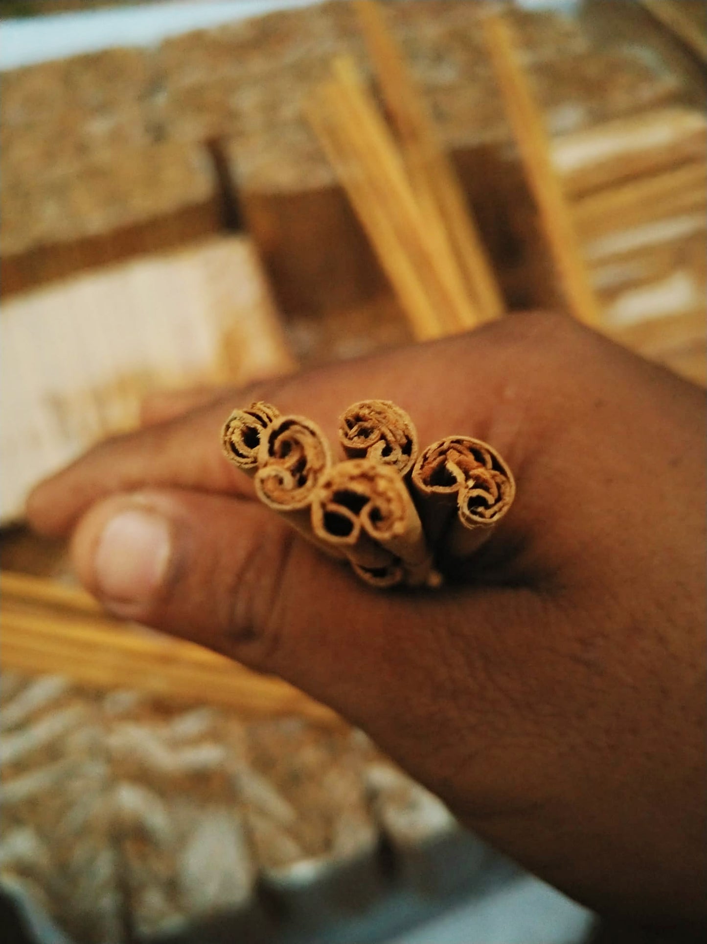 100% pure Ceylon alba cinnamon sticks Canela Sri lanka