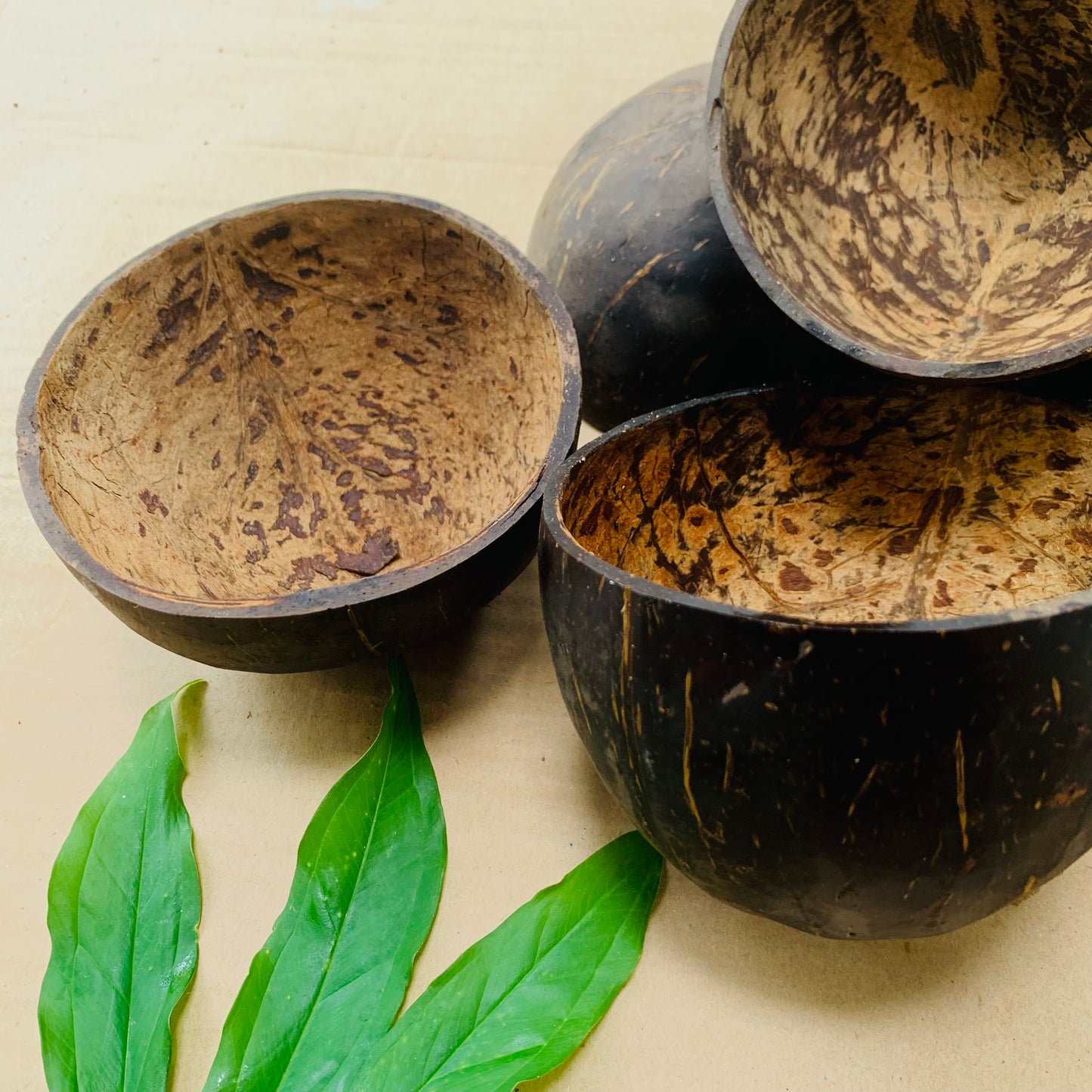 Natural Coconut Shell Halves Bowls Organic Eco Friendly