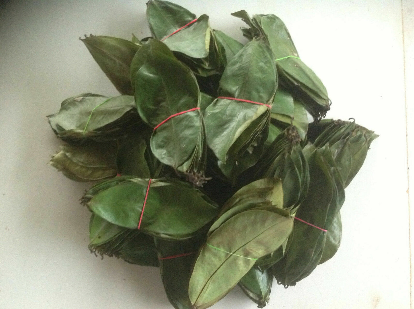 50 Dried Graviola Leaf (Soursop) Annona Muricata Premium Quality